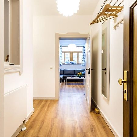 Wunderschoene Wohnung In Sanierter Villa! Incl Wifi ドレスデン エクステリア 写真