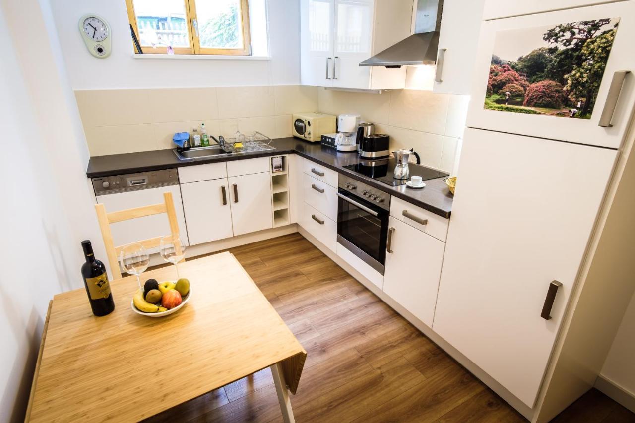 Wunderschoene Wohnung In Sanierter Villa! Incl Wifi ドレスデン エクステリア 写真