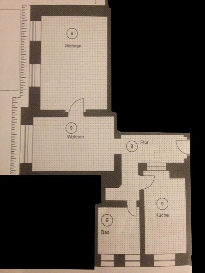 Wunderschoene Wohnung In Sanierter Villa! Incl Wifi ドレスデン エクステリア 写真